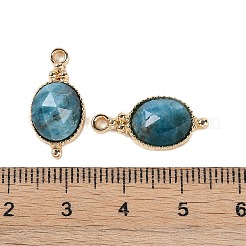 Pendentifs à facettes en pierres précieuses naturelles et synthétiques mélangées&nbsp;KK-L218-003G-M
