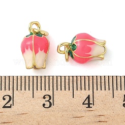 Messing Emaille Anhänger / charms&nbsp;KK-C110-17A-01G
