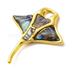 304 Edelstahl Pavé natürliche Paua Muschel/Abalone Muschel Anhänger&nbsp;STAS-S163-20G