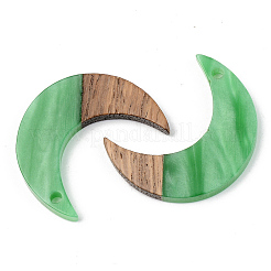 Pendentifs en résine opaque et bois de noyer&nbsp;RESI-S389-056B-C03