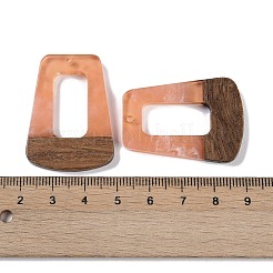 Colgantes de resina & madera&nbsp;WOOD-F015-11B