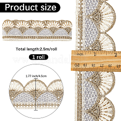 Bordure en dentelle de polyester de 2.5 m&nbsp;OCOR-GF0005-01B