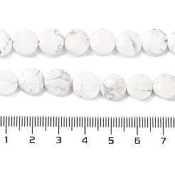 Natürliche Howlith Perlen Stränge&nbsp;G-K357-B06-01