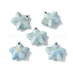 Dijes de ágata de alaska arcoíris natural&nbsp;G-G194-02