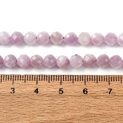 Naturperlen Stränge kunzite&nbsp;G-P587-B01-01