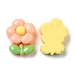 Cabochons en résine opaque dessin animé&nbsp;X-RESI-C039-03E