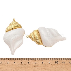 Colgantes grandes de acrílico de acero inoxidable 304&nbsp;STAS-C152-27B-G