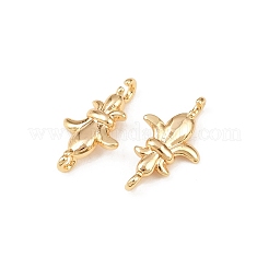 Breloques de connecteur de fleur de lys en laiton&nbsp;KK-H524-04G