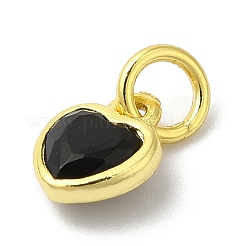 925 ciondolo portafortuna in argento sterling&nbsp;STER-M0120-02H-G