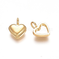 Pendentifs cabochons en acier inoxydable 304&nbsp;X-STAS-F222-025G