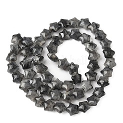 Natürliche Larvikit-Sternperlenstränge&nbsp;G-Z080-A03