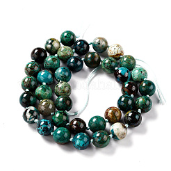 Natur Chrysokoll Perlen Stränge&nbsp;G-G010-16