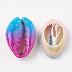 Perle di conchiglia di ciprea naturale verniciate a spruzzo&nbsp;X-SHEL-S274-01