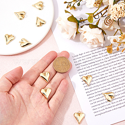 10 pièces pendentifs en laiton&nbsp;KK-HS0001-14
