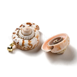 Natürliche Spirale Shell Anhänger&nbsp;SSHEL-H071-05G
