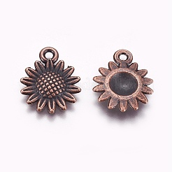 Tibetischer stil Aluminium Anhänger & Charms&nbsp;A-PALLOY-WH0066-12R