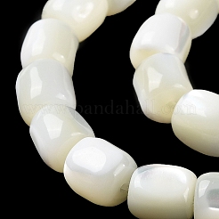 Fili di perline di conchiglia trochus naturale&nbsp;BSHE-E030-05A