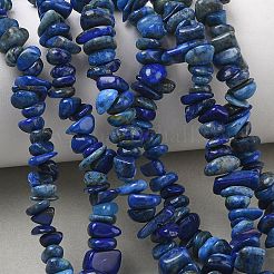 Natürliche Lapislazuli Chip-Perlen Stränge&nbsp;G-E271-121