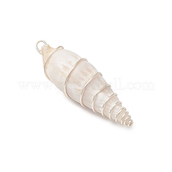 Colgantes grandes de concha en espiral natural envueltos con alambre de cobre&nbsp;PALLOY-JF03397-01