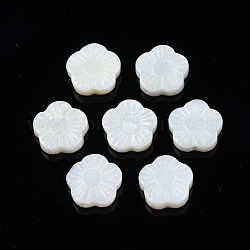Perles de coquillages naturels d'eau douce, fleur, couleur de coquillage, 10x10x4mm