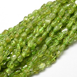 Natural Peridot Nuggets Beads Strands, 5~10x6~7x3~7mm, hole: 1mm, about 14.9 inch~15.7 inch