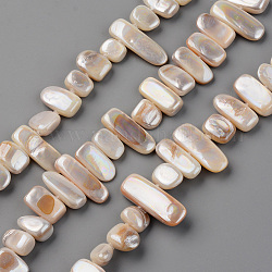 Spray Painted Natural Freshwater Shell Beads Strands, Shell Shards, Chip, Linen, 5~9x8~26x3~6mm, Hole: 0.8mm, about 41~45pcs/strand, 13.78 inch~14.96 inch(35~38cm)