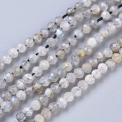 Brins de perles de pierre de lune arc-en-ciel naturel, ronde, facette, 2mm, Trou: 0.5mm, Environ 170~210 pcs/chapelet, 15.16~15.94 pouce (38.5~40.5 cm)