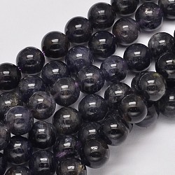 Brins de perles rondes en cordiérite naturelle / iolite / dichroite, 8mm, Trou: 1mm, Environ 51 pcs/chapelet, 15.5 pouce