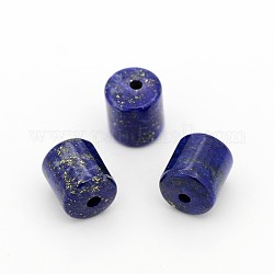 Natural Lapis Lazuli Column Beads, 10x8mm, Hole: 1mm