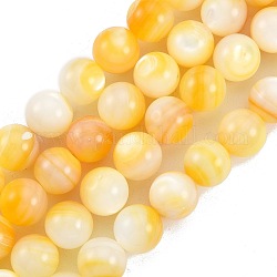 Fili di perline di conchiglia giallo dorato naturale, tondo, 10mm, Foro: 1 mm, circa 39pcs/filo, 14.72 pollice (37.4 cm)