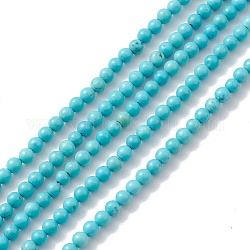 Natürliche Howlith Perlen Stränge, gefärbt, Runde, Türkis, 3~4 mm, Bohrung: 0.7~0.8 mm, ca. 116~120 Stk. / Strang, etwa 15 Zoll