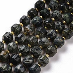 Chapelets de perles de jasper kambaba naturel, avec des perles de rocaille, tambour à barillet bicône à facettes, 9~10mm, Trou: 1.2mm, Environ 29~32 pcs/chapelet, 14.45~14.84 pouce (36.7~37.7 cm)