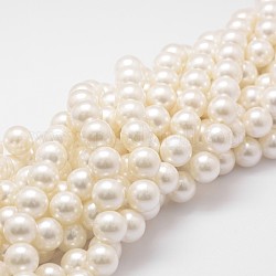 Chapelets de perles en coquille, Grade a, ronde, floral blanc, 14mm, Trou: 1mm, Environ 28~29 pcs/chapelet, 16 pouce