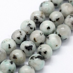Fili di perle di diaspro / kiwi di sesamo naturale, tondo, 6~6.5mm, Foro: 0.5 mm, circa 63pcs/filo, 14.96 pollice (38 cm)