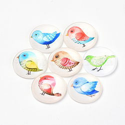 Printed Glass Flat Back Cabochons, Dome/Half Round, Bird Pattern, Mixed Color, 10x3.5mm