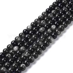 Brins de perles d'obsidienne argent naturel, ronde, 6mm, Trou: 1mm, Environ 66 pcs/chapelet, 15.55'' (39.5 cm)