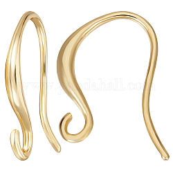Beebeecraft 50Pcs Brass Earring Hooks, with Horizontal Loops, Real 18K Gold Plated, 17x9x2mm, Hole: 2mm, Pin: 0.75mm