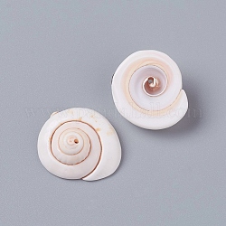 Perle naturali di conchiglie di shiva, forma a conchiglia, colore conchiglia, 20~23x18~19x8~10mm, Foro: 1.2 mm, circa 150pcs/500g