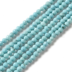 Chapelets de perles en howlite naturelle, teinte, facette, ronde, bleu ciel, 3mm, Trou: 0.8mm, Environ 130~133 pcs/chapelet, 15.39~15.75 pouce (39.1~40 cm)