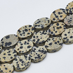 Natural Dalmatian Jasper Beads Strands, Oval, 14~15x10~11x5mm, Hole: 1mm, about 28pcs/strand, 15.3 inch~16.1 inch