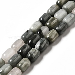 Chapelets de perles en pierre naturelle d'œil d'aigle, colonne, 9x6mm, Trou: 0.9~1mm, Environ 20~21 pcs/chapelet, 7.09~7.48 pouce (18~19 cm)