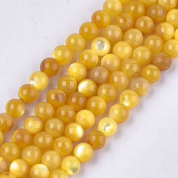 Yellow Shell Beads Strands, Dyed, Round, Orange, 6mm, Hole: 1mm, about 69pcs/strand, 15.7 inch