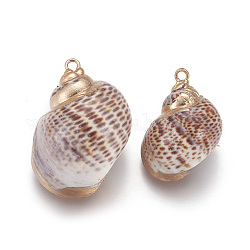 Electroplate Spiral Shell Pendants, with Brass Findings, Conch, Golden, 25~30x18~24mm, Hole: 2mm