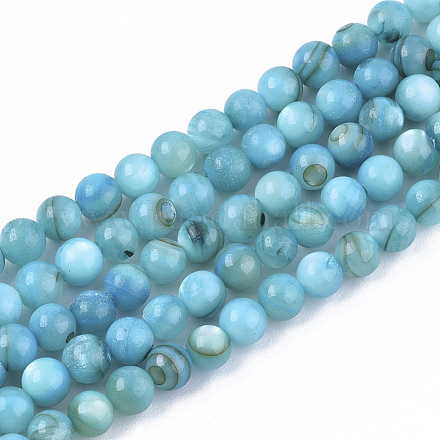 Chapelets de perles en coquille d'eau douce  SHEL-S276-32C-1