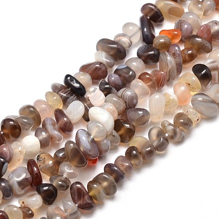 Natural Botswana Agate Chip Beads Strands G-E271-104-1