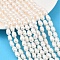 Natural Cultured Freshwater Pearl Beads Strands, Rice, Grade AB+, PapayaWhip, 6~7mm, Hole: 0.6mm, about 37~44pcs/strand, 13.58~13.98''(34.5~35.5cm)