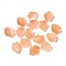 Natural Sea Shell Carved Leaf Charms, Light Salmon, 12~12.5x9.5~10x1.5~2mm, Hole: 1mm