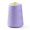 Polyester Sewing Thread Cords, For Cloth or DIY Craft, Medium Purple, 0.1mm, about 7000yards/roll