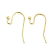 Brass Earring Hooks J0JQN-G-1