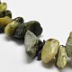 Natural Gemstone Chip Beads Strands G-L269-38-2